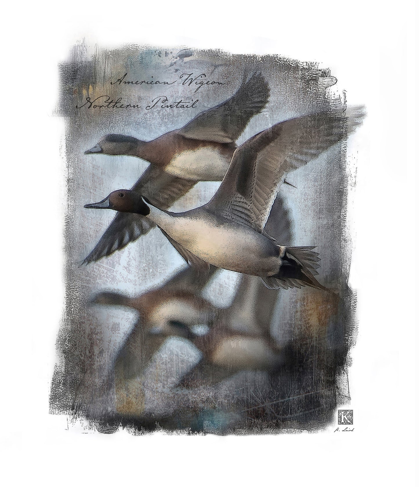 Kenneth Laird Collection Pintail/Widgeon Duck Call - Slammer Series