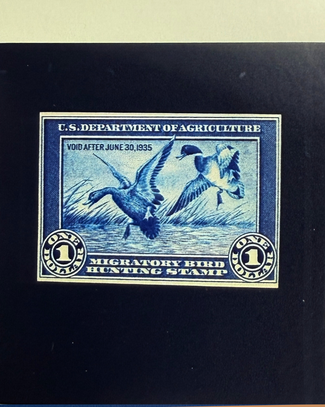 Duck & Goose Blanks
