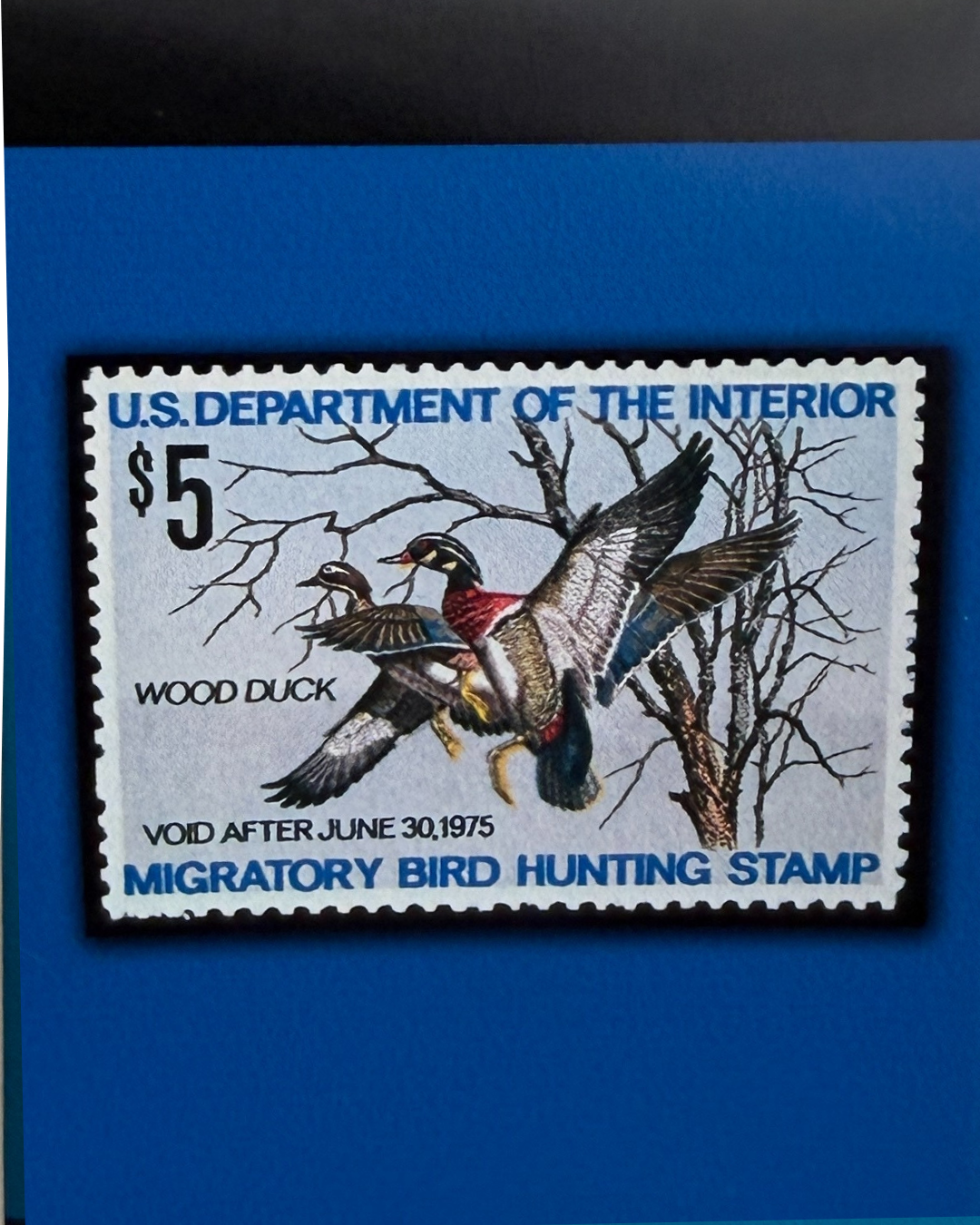 Duck & Goose Blanks