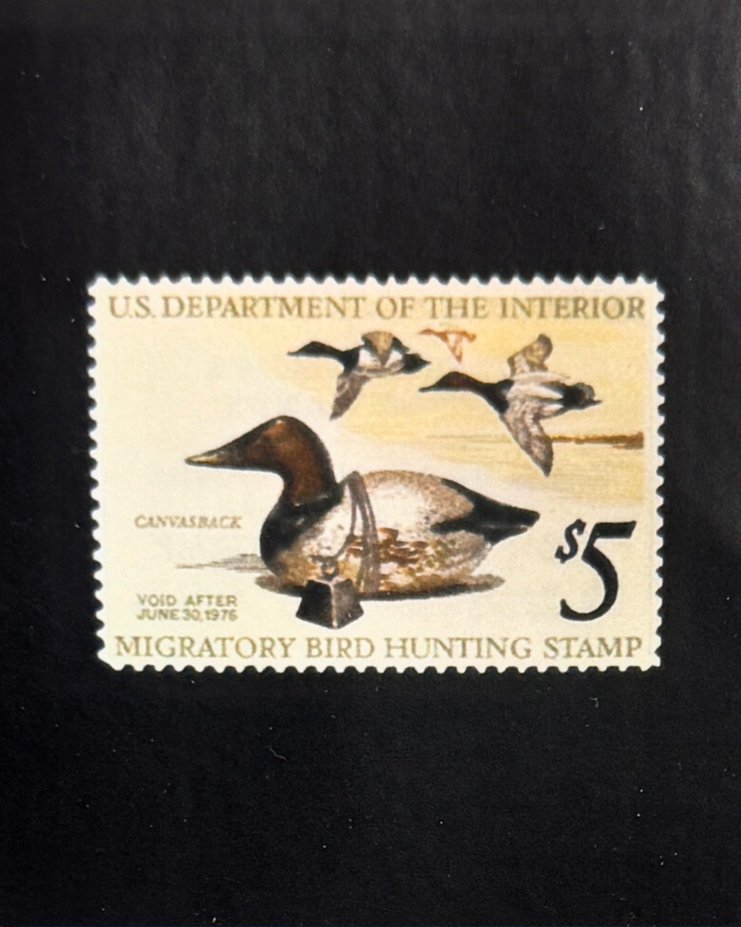 Duck & Goose Blanks