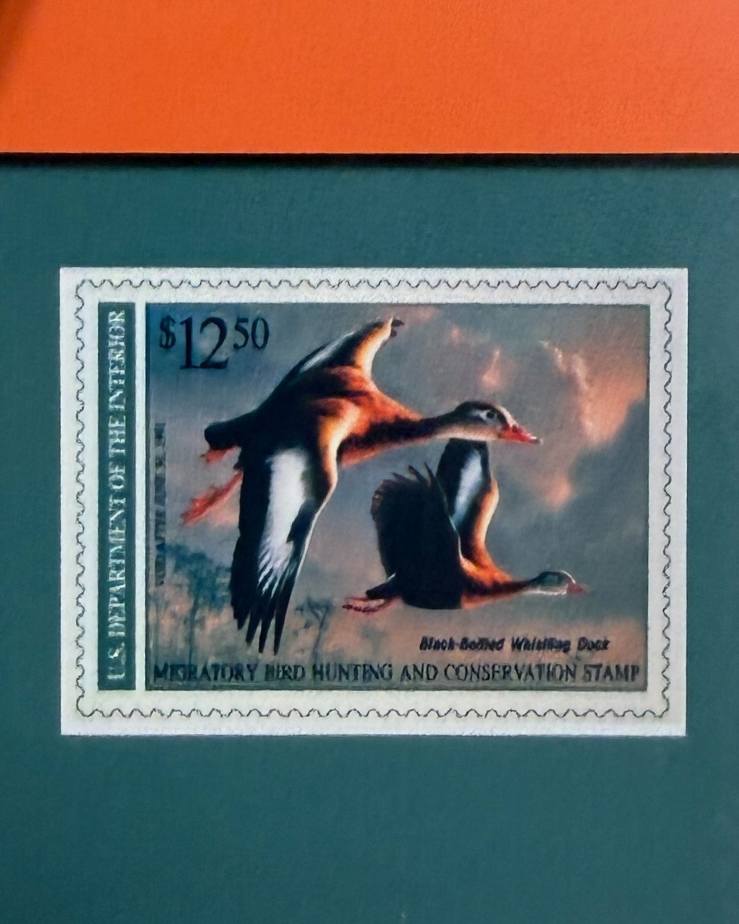 Duck & Goose Blanks