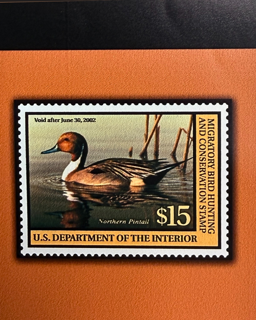 Duck & Goose Blanks