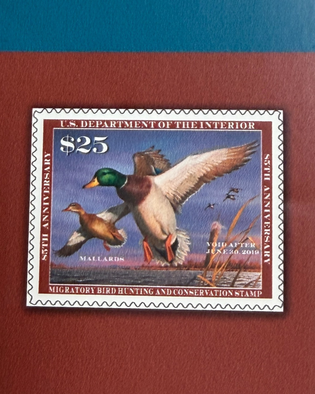 Duck & Goose Blanks