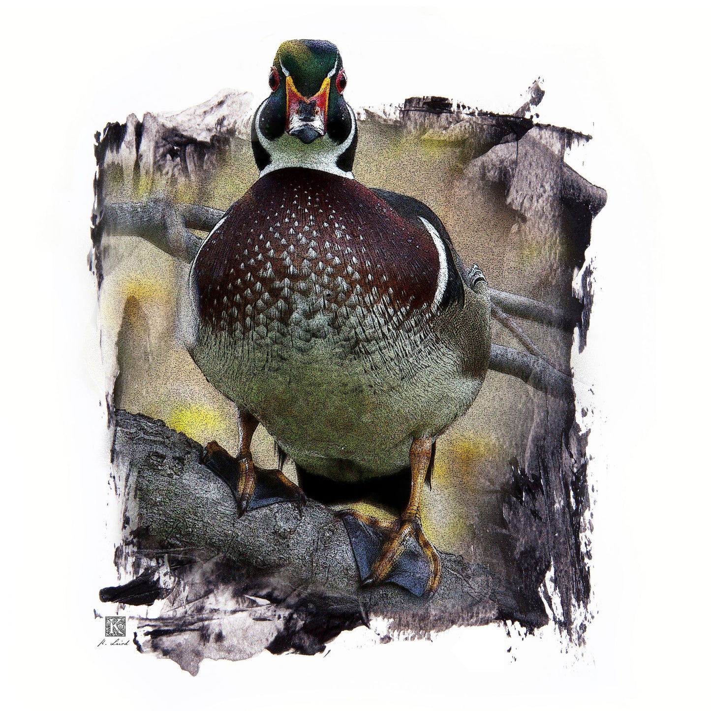 Kenneth Laird Collection Wood Duck/White Duck Call - Slammer Series