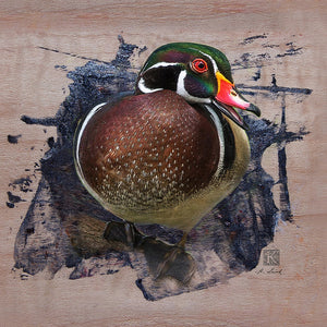 KENNETH LAIRD STUDIOS WOOD DUCK POLYCARBONATE IMAGE DUCK CALL
