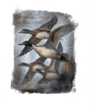 KENNETH LAIRD STUDIOS PINTAIL/WIDGEON POLYCARBONATE IMAGE DUCK CALL